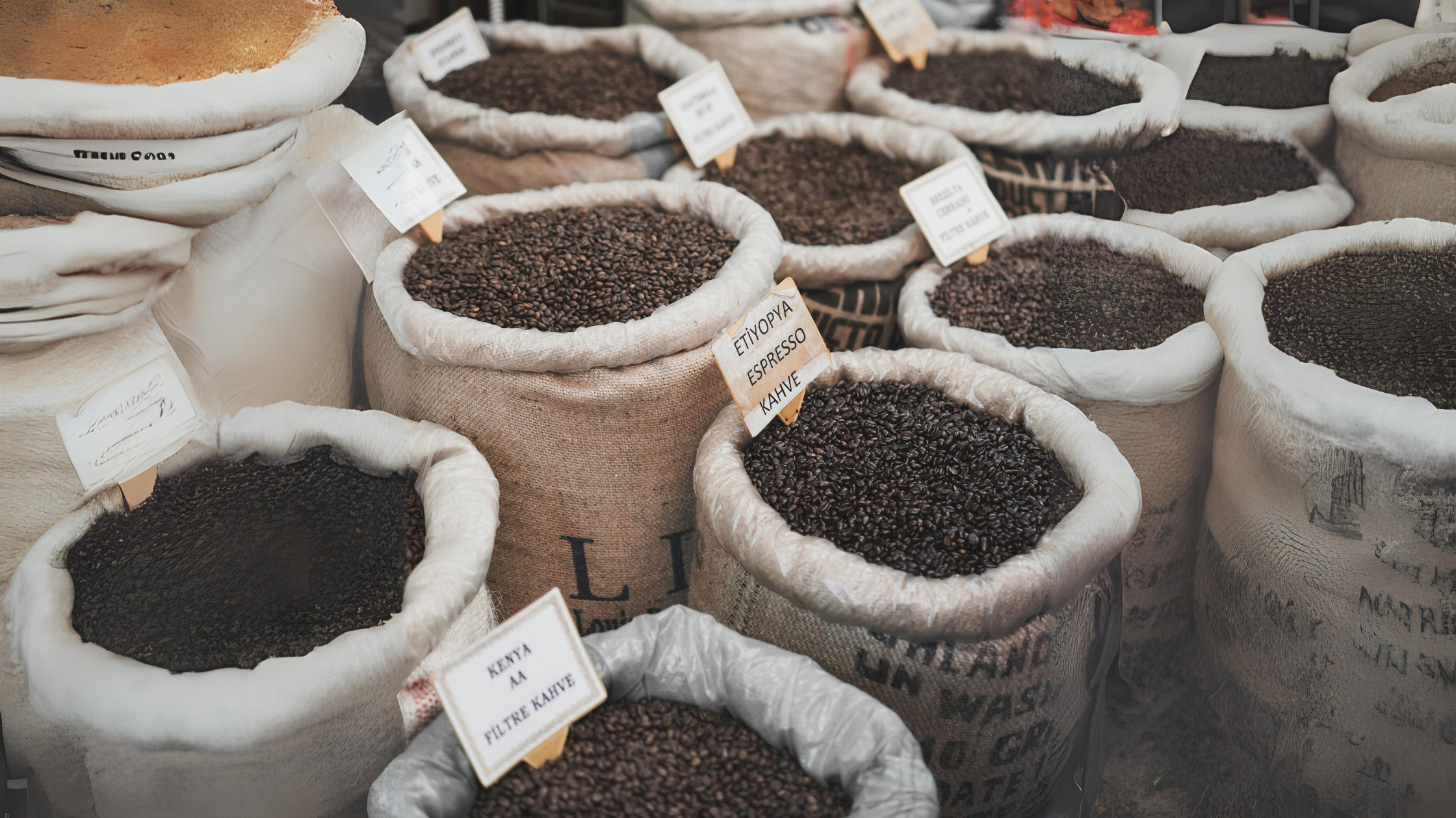 Types of Coffee Beans: A Comprehensive Guide to Arabica, Robusta, Liberica, and More.