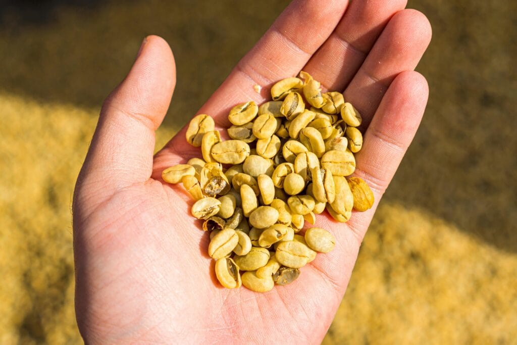 How to Choose the Right Coffee Beans: A Simple Guide 1 Arabica beans make up about 60% of global coffee production and are known for their smooth, nuanced flavors compared to the stronger, more bitter Robusta beans.