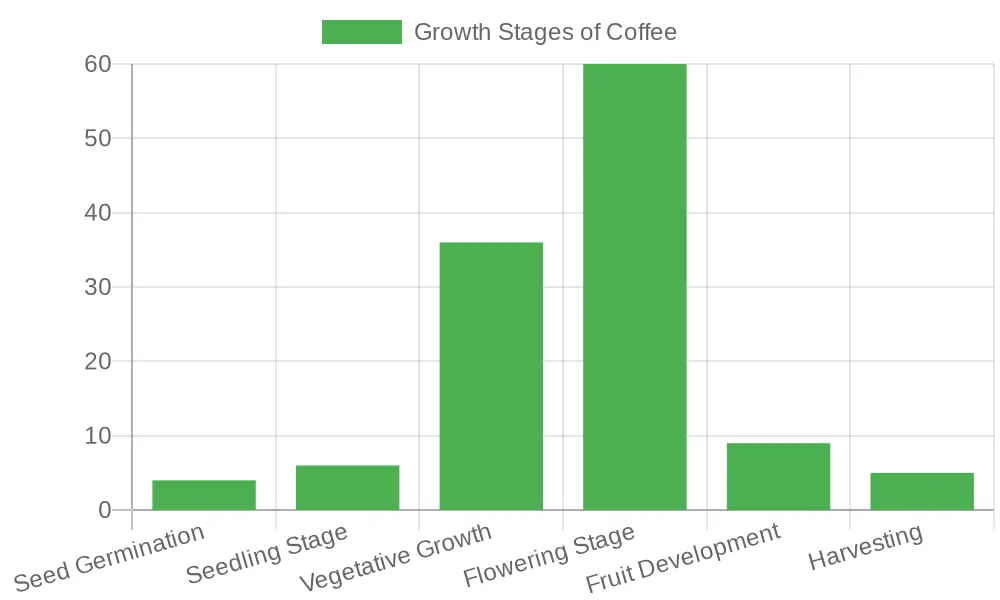 Chart of Coffee Bean Growth Stages